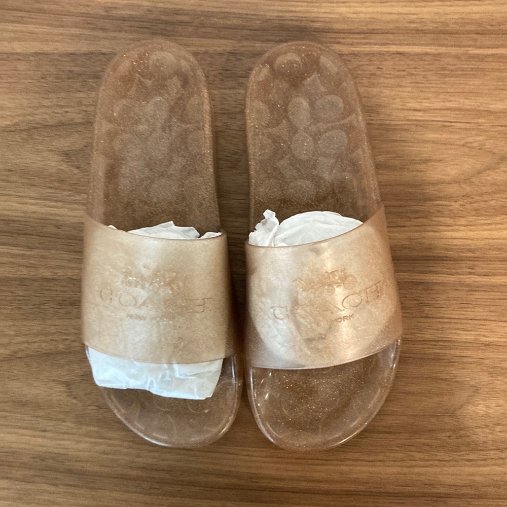 Coach slides